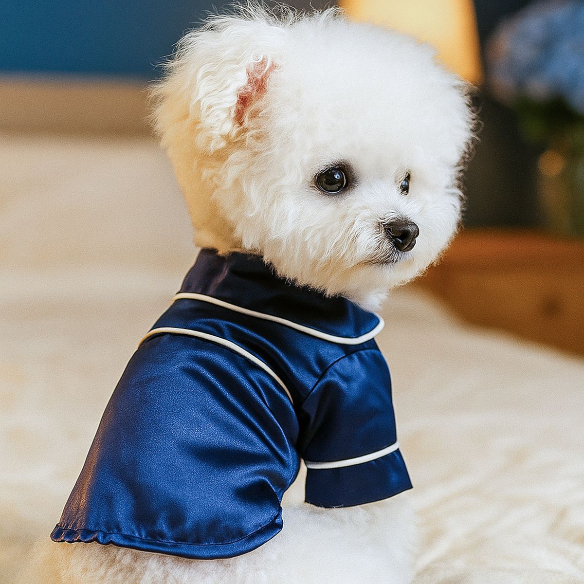 Luxury Dog Pajamas Satin Sleepwear with Piping Trim